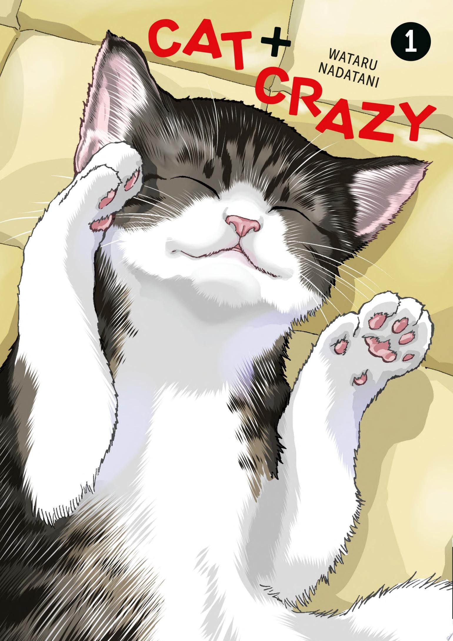 Cat + Crazy Vol. 1 cover