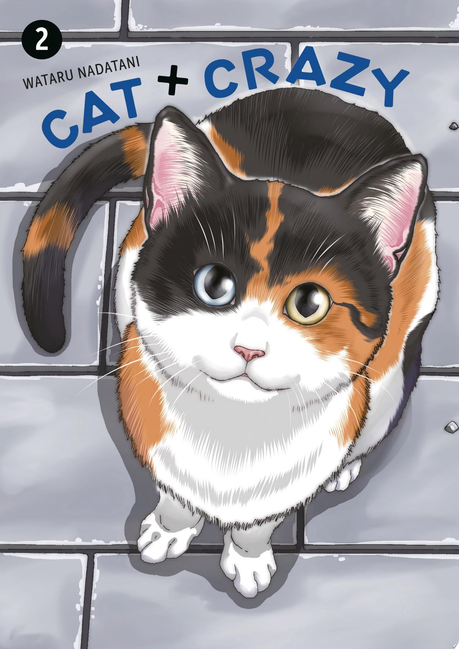 Cat + Crazy Vol. 2 cover
