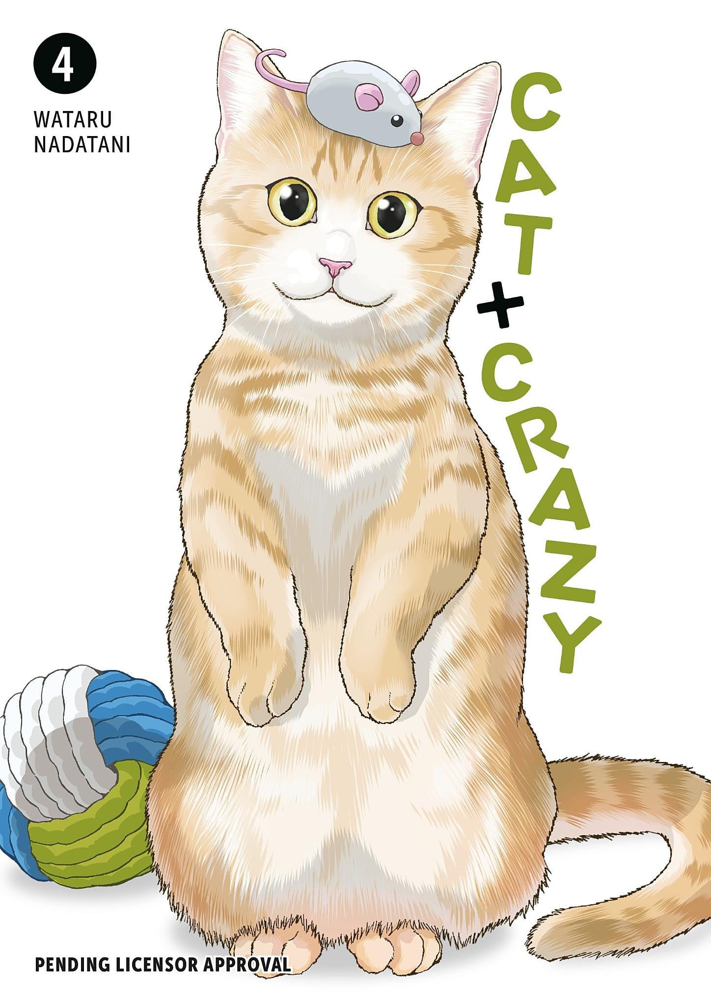 Cat + Crazy Vol. 4 cover