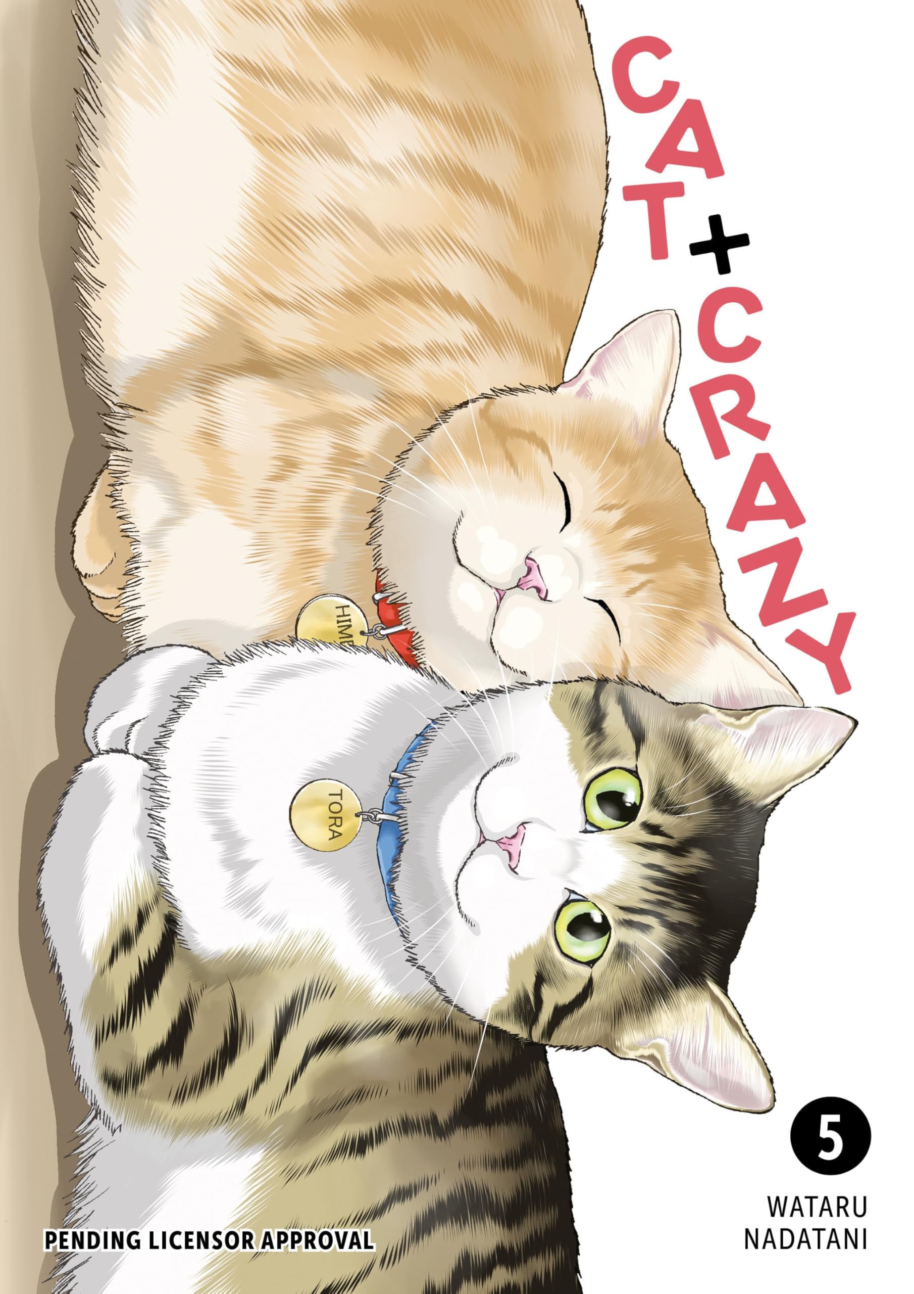 Cat + Crazy Vol. 5 cover