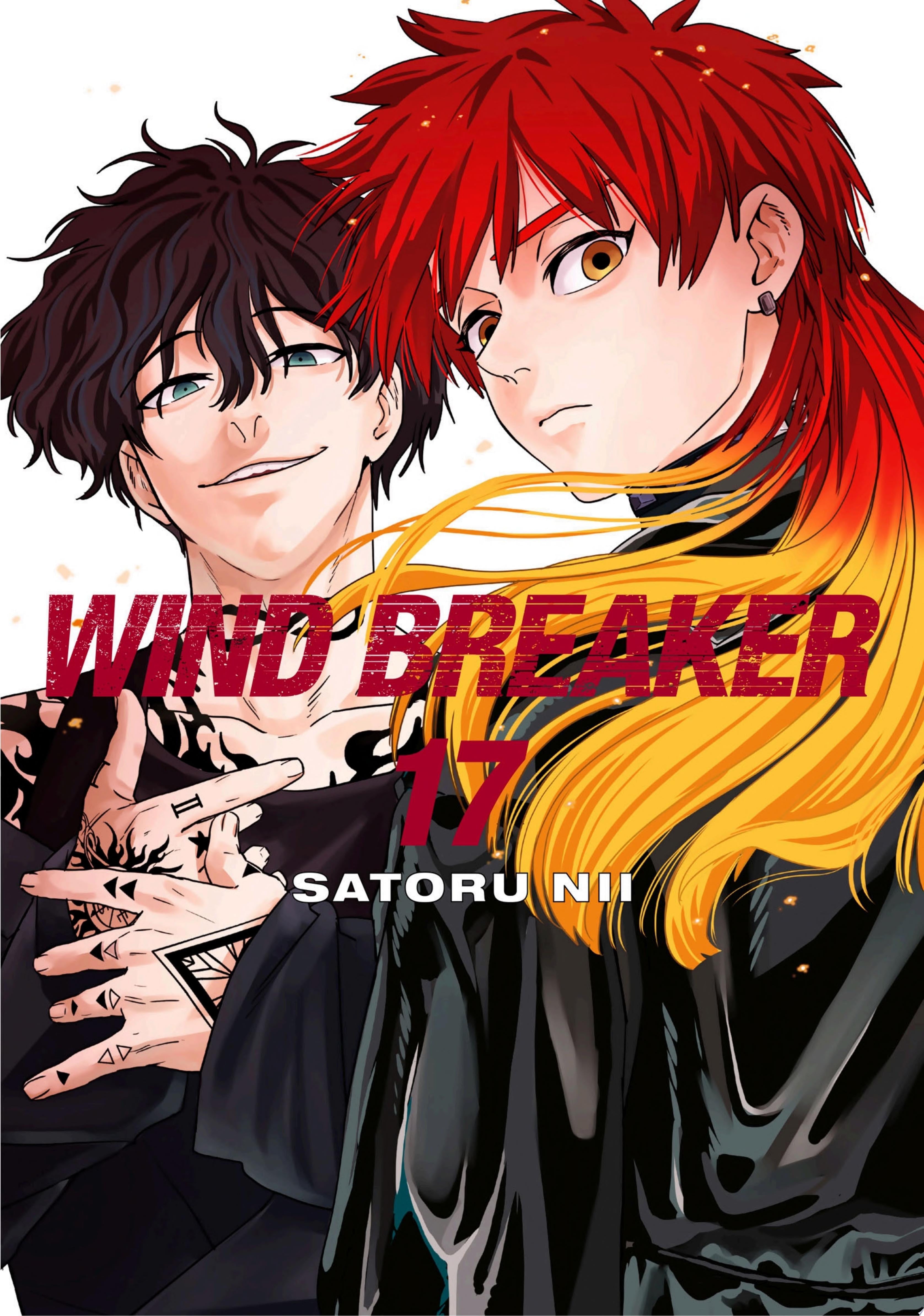 Wind Breaker Vol. 17 cover