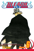 Bleach Vol. 6 cover