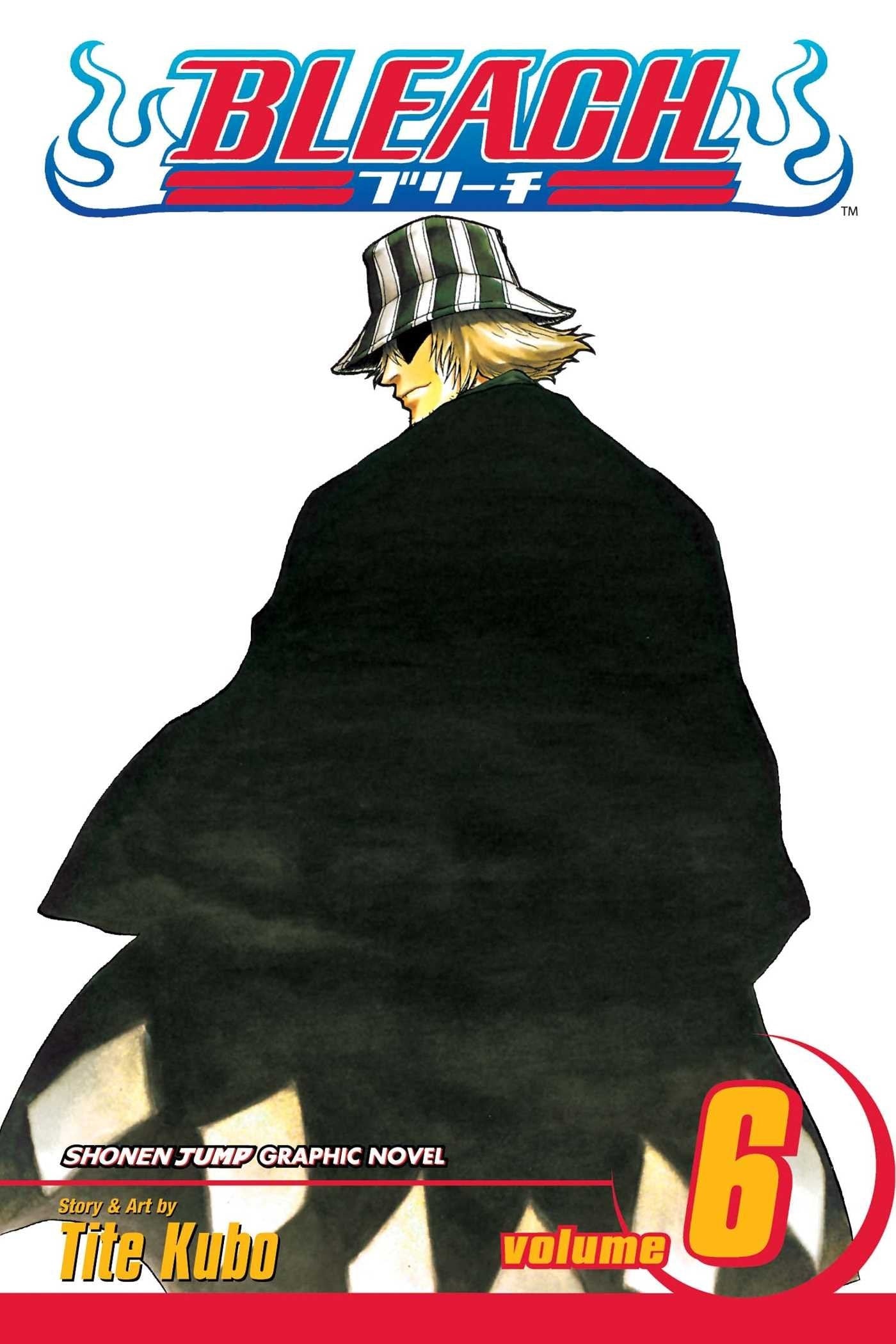 Bleach Vol. 6 cover