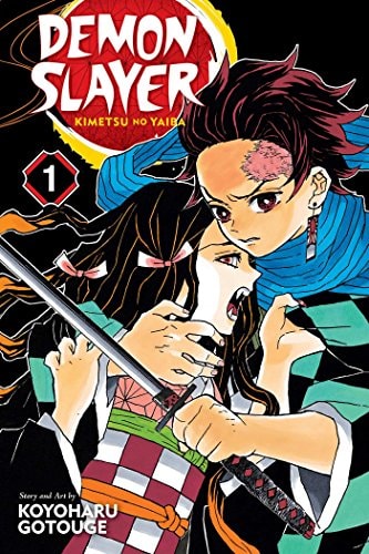Demon Slayer: Kimetsu no Yaiba Vol. 1 cover