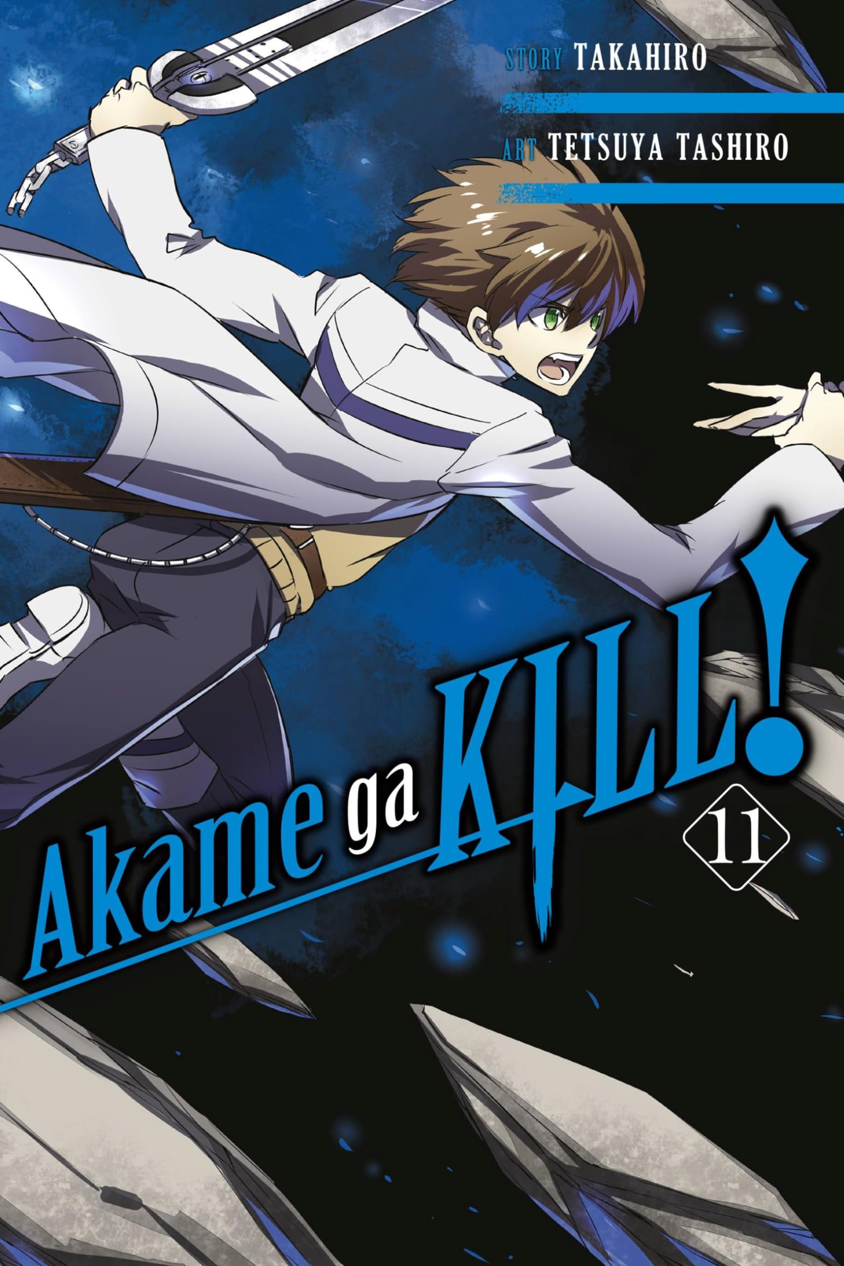 Akame ga KILL! Vol. 11 cover