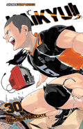 Haikyuu !! Vol. 30 cover