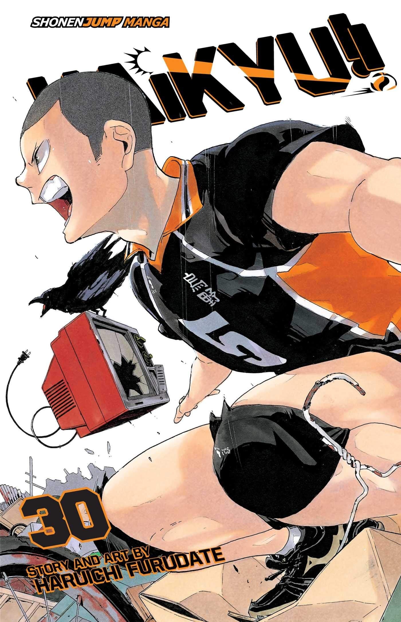 Haikyuu !! Vol. 30 cover