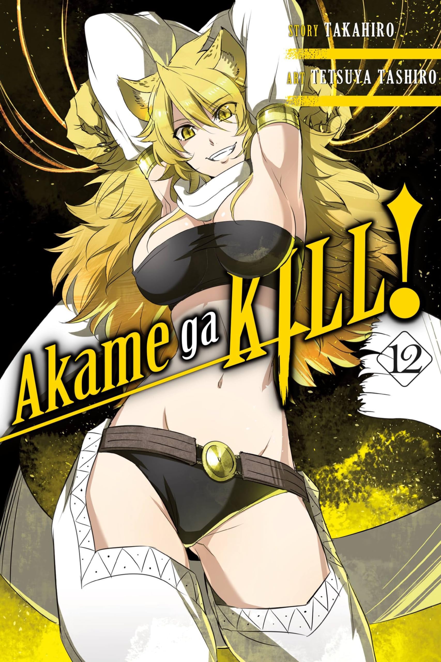Akame ga KILL! Vol. 12 cover