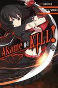 Akame ga KILL! Vol. 13 cover
