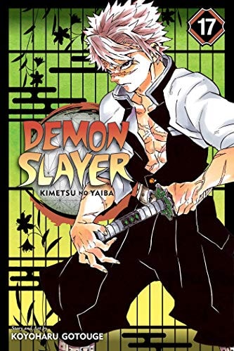Demon Slayer: Kimetsu no Yaiba Vol. 17 cover