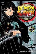 Demon Slayer: Kimetsu no Yaiba Vol. 12 cover