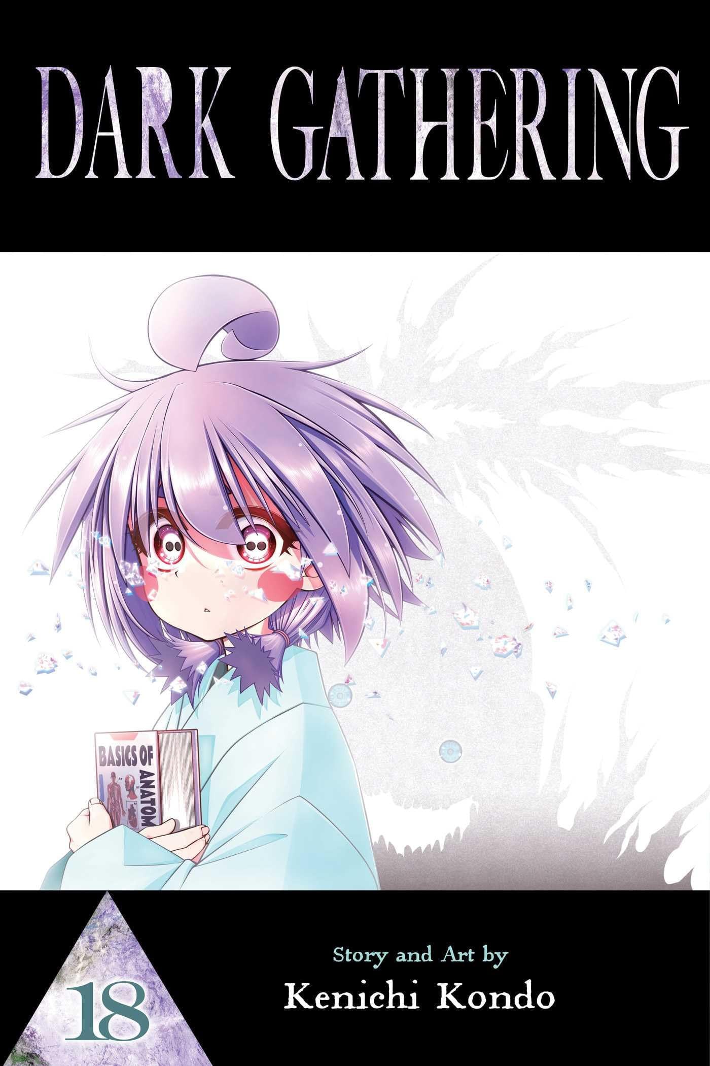 Dark Gathering Vol. 18 cover