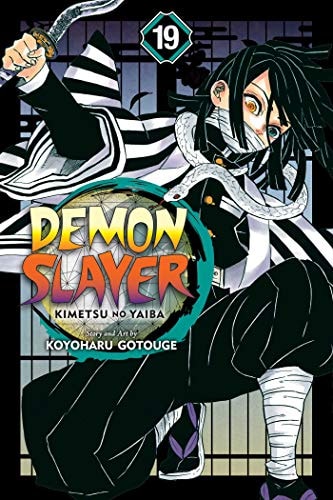 Demon Slayer: Kimetsu no Yaiba Vol. 19 cover