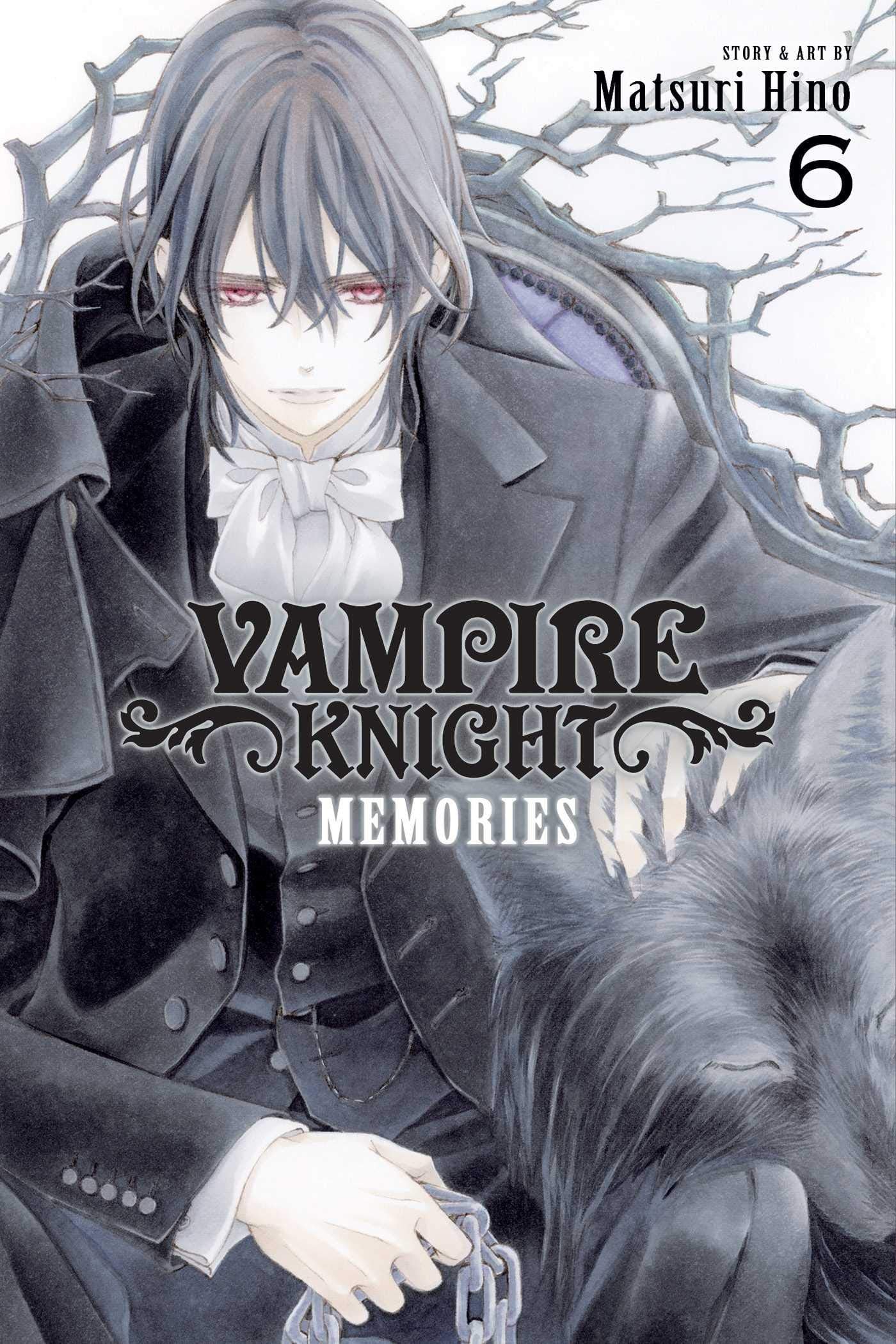 Vampire Knight: Memories Vol. 6 cover