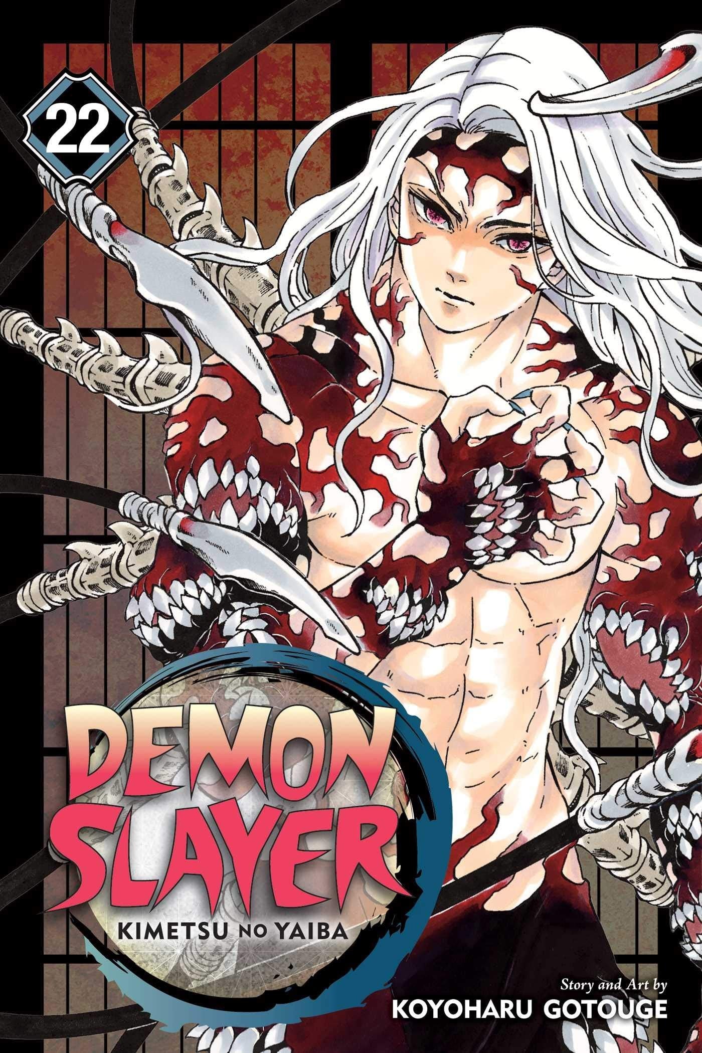 Demon Slayer: Kimetsu no Yaiba Vol. 22 cover