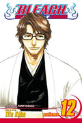 Bleach Vol. 12 cover