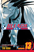 Bleach Vol. 13 cover