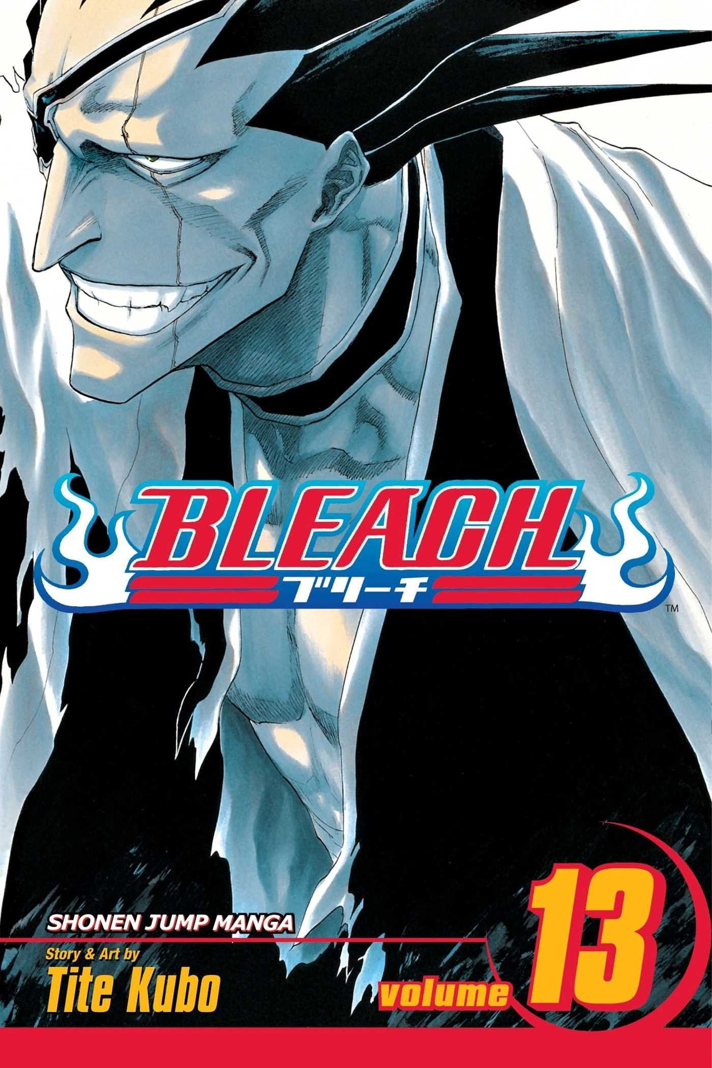 Bleach Vol. 13 cover