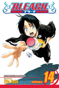 Bleach Vol. 14 cover