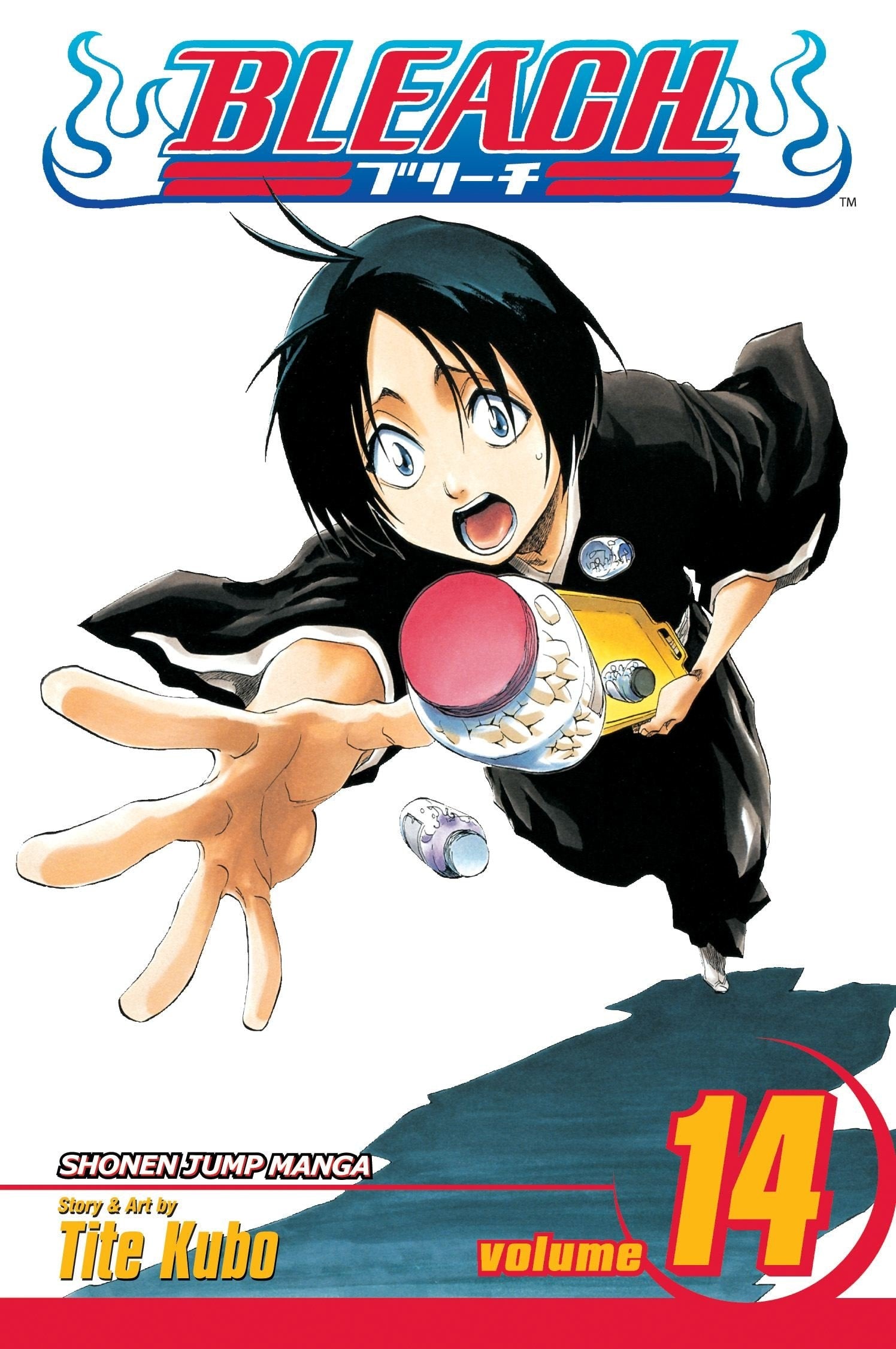 Bleach Vol. 14 cover