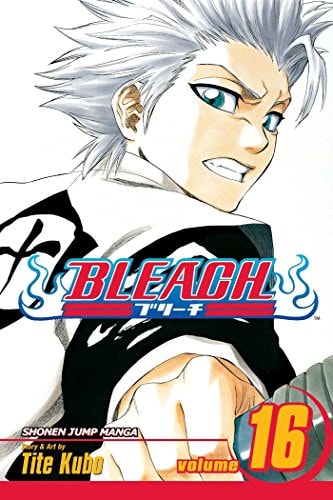 Bleach Vol. 16 cover