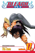 Bleach Vol. 17 cover