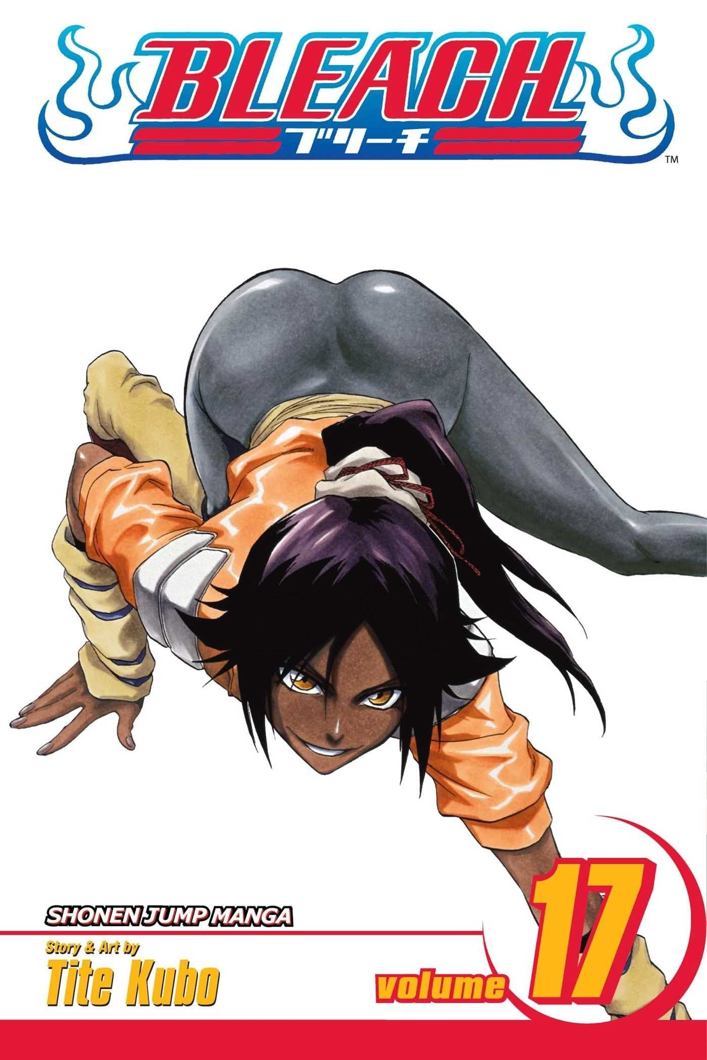 Bleach Vol. 17 cover