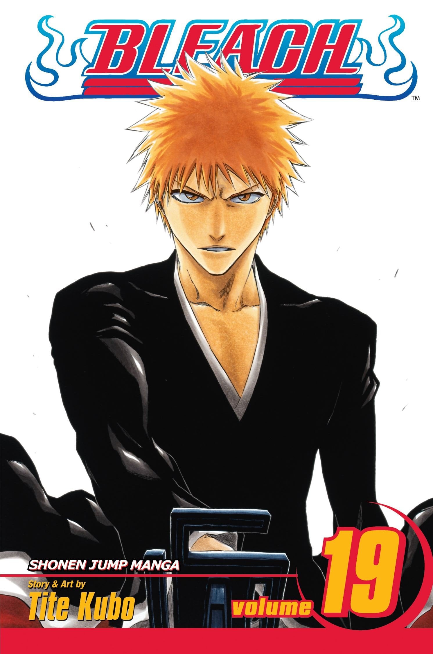 Bleach Vol. 19 cover