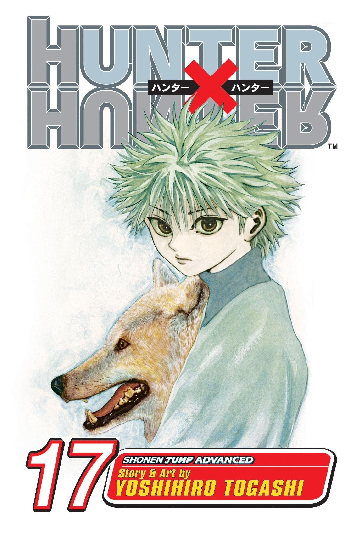 Hunter X Hunter Vol. 17 cover