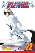 Bleach Vol. 22 cover