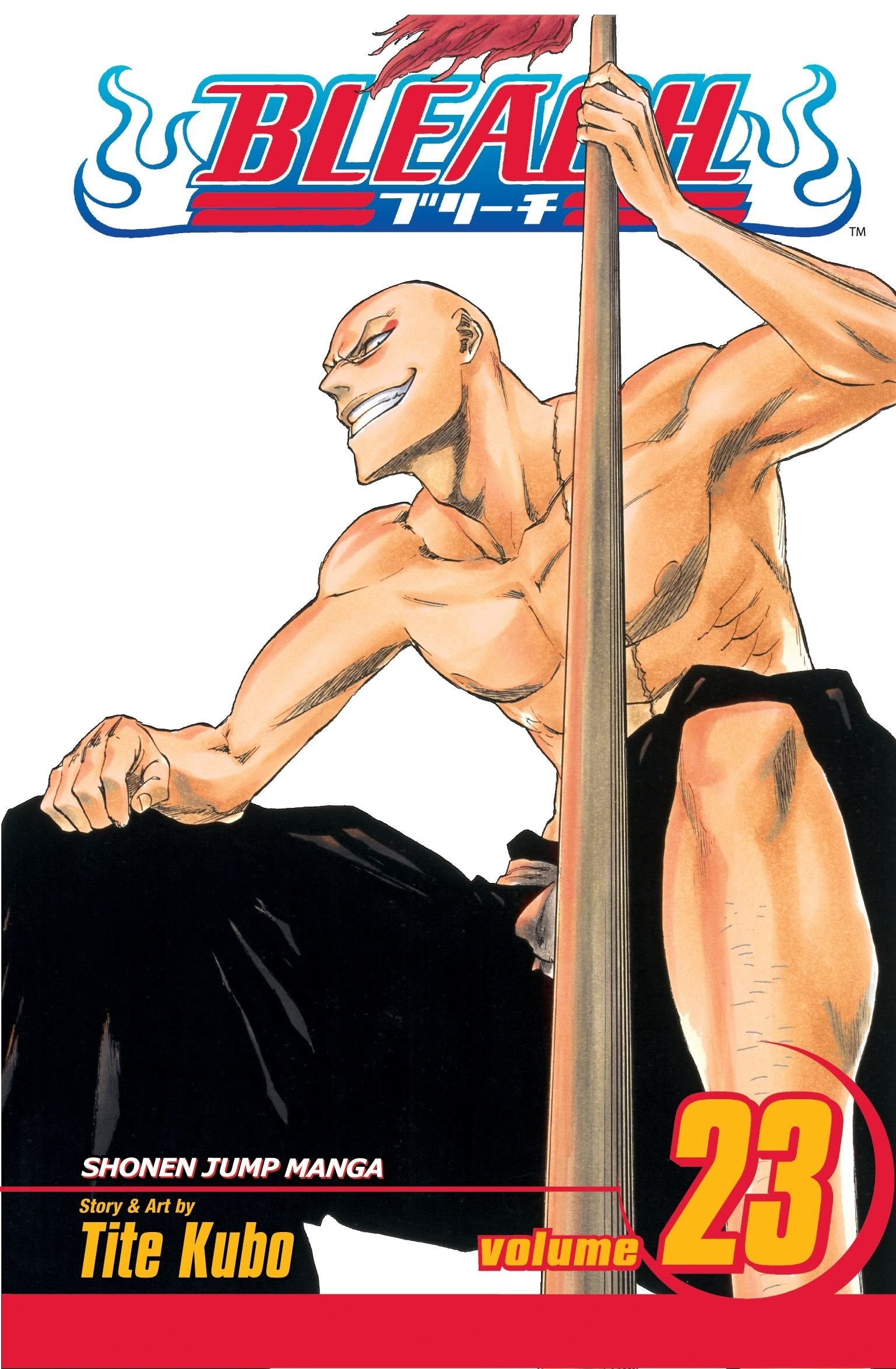 Bleach Vol. 23 cover