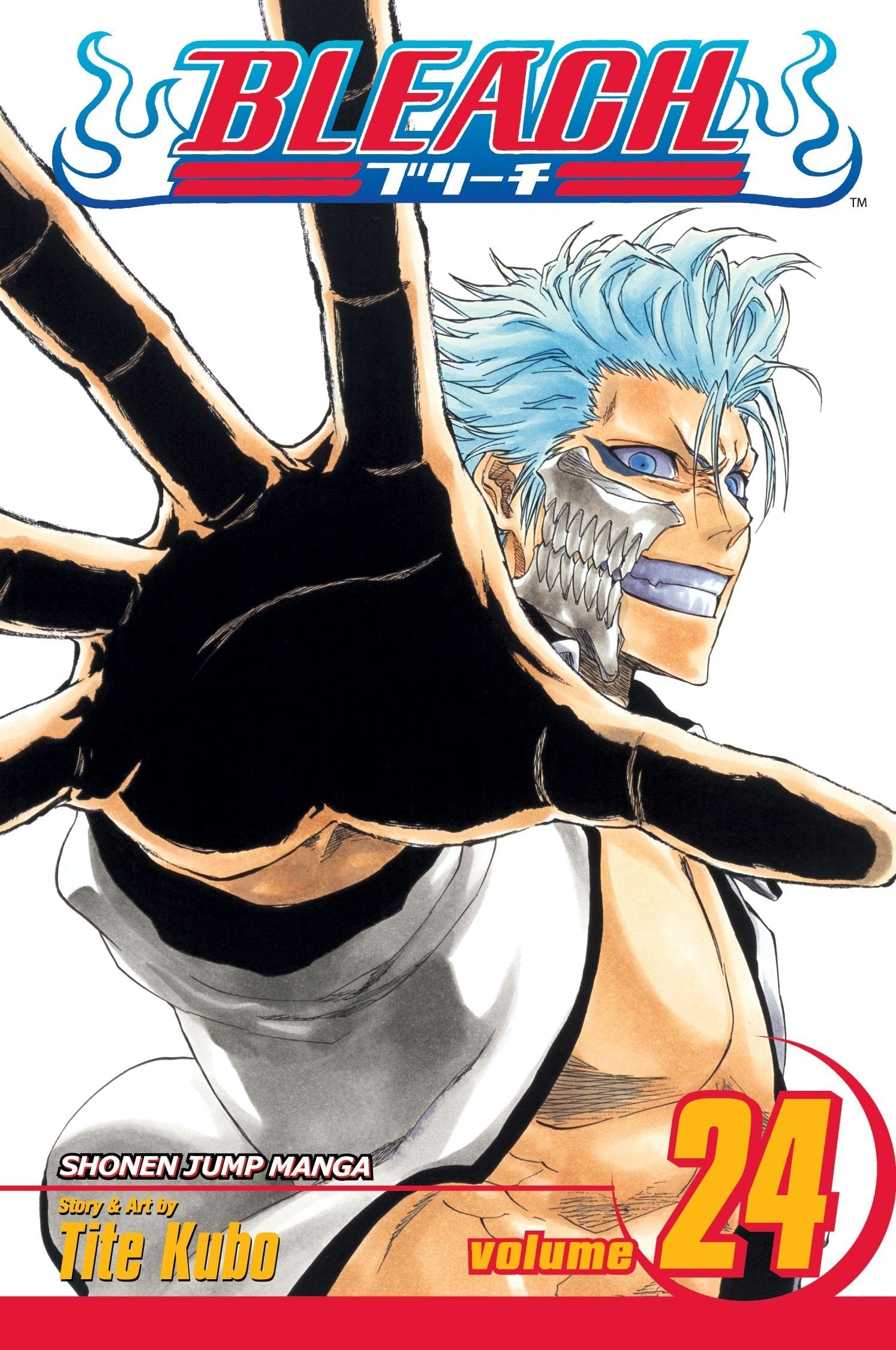 Bleach Vol. 24 cover