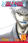Bleach Vol. 25 cover