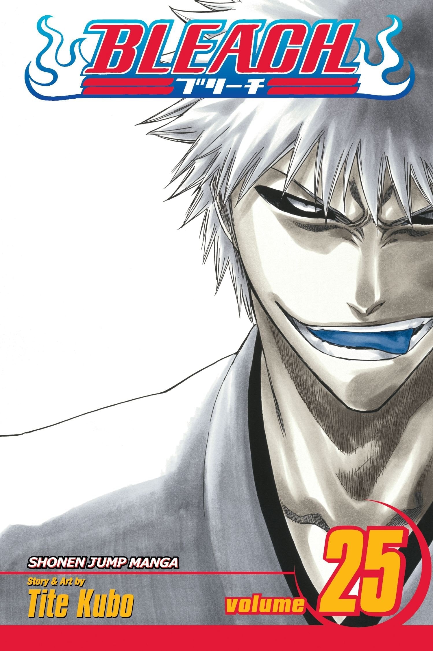 Bleach Vol. 25 cover