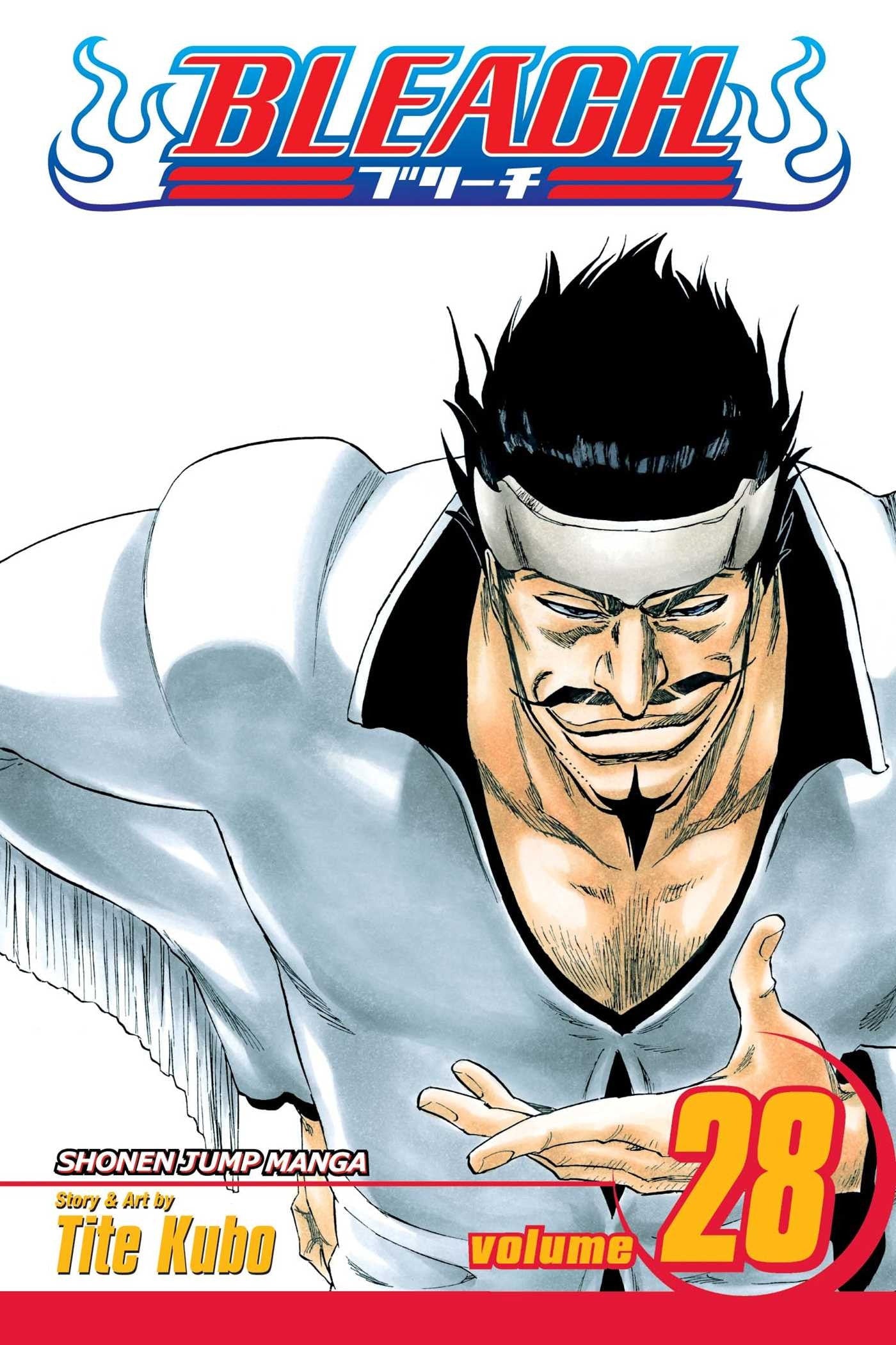 Bleach Vol. 28 cover