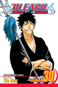 Bleach Vol. 30 cover