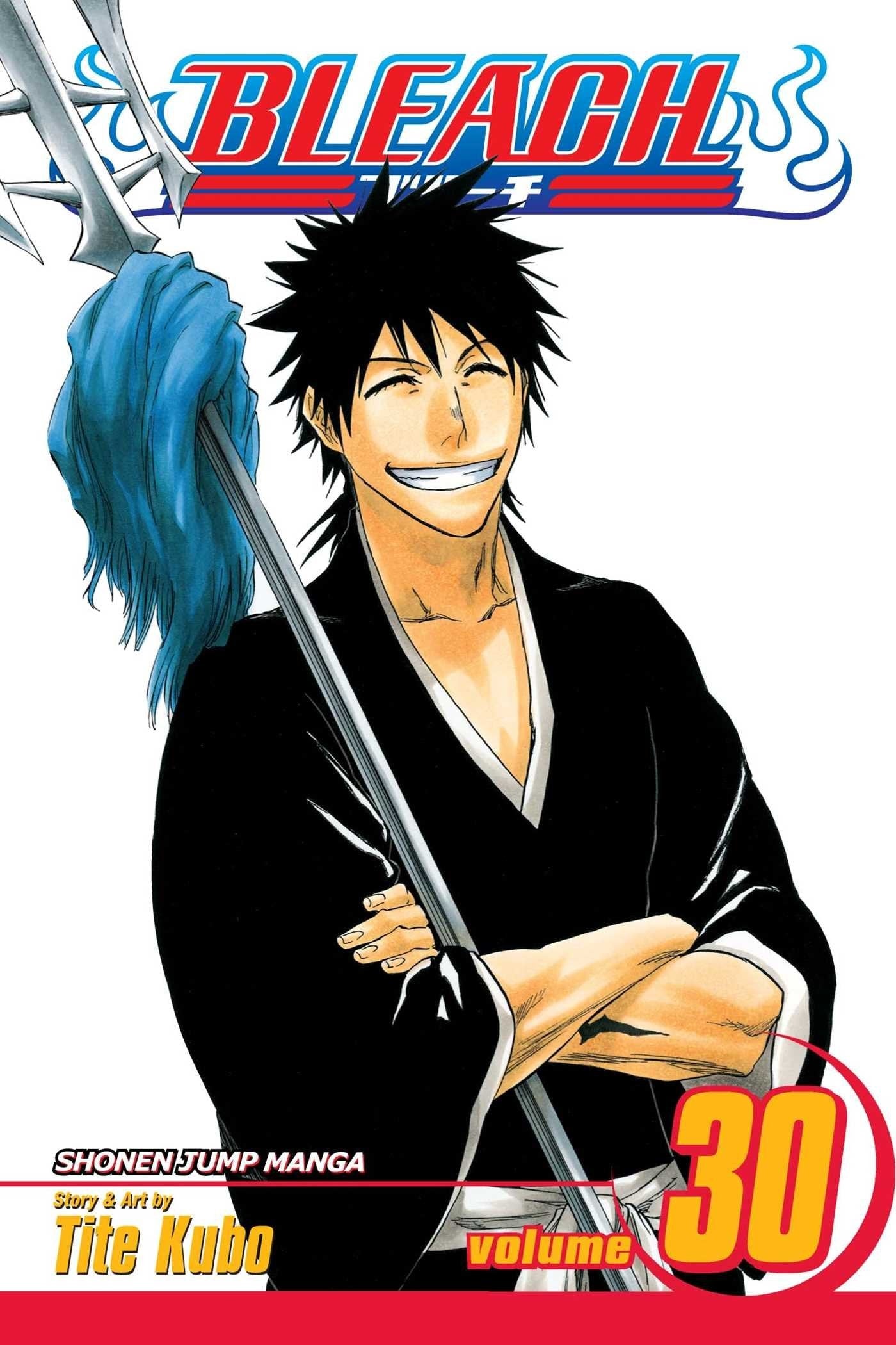 Bleach Vol. 30 cover