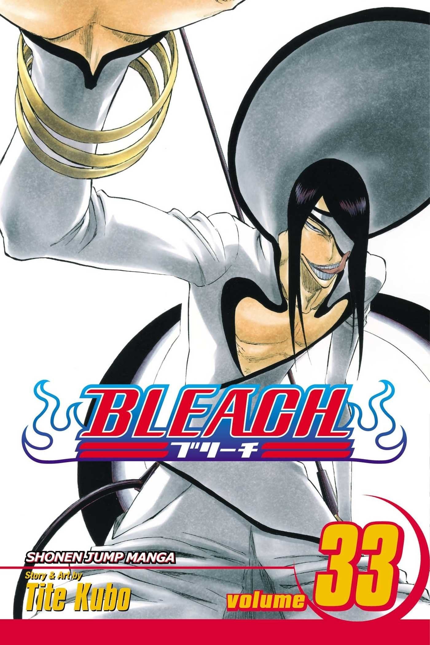 Bleach Vol. 33 cover