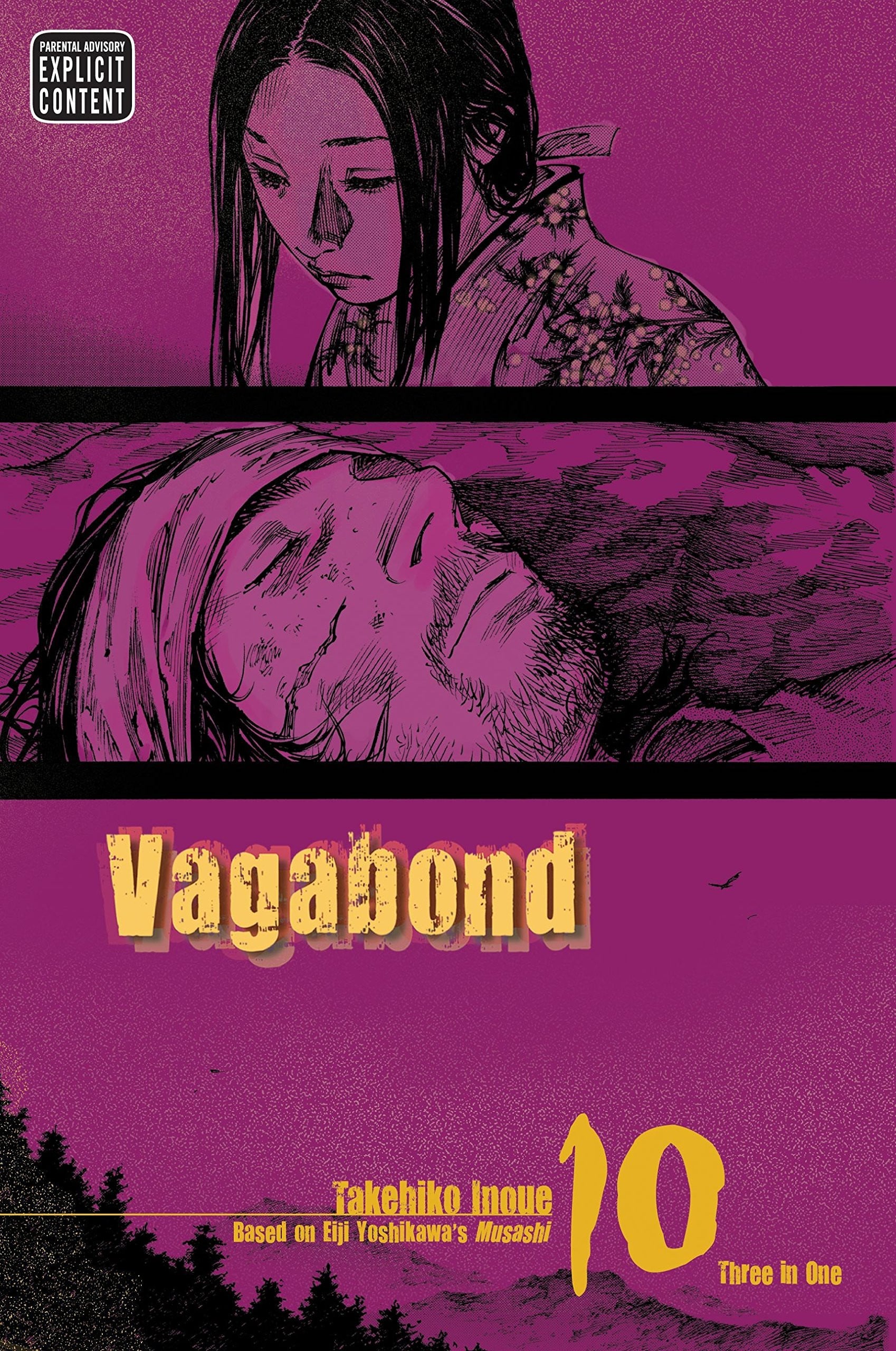 Vagabond (VIZBIG Edition) Vol. 10 cover