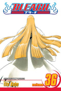 Bleach Vol. 36 cover