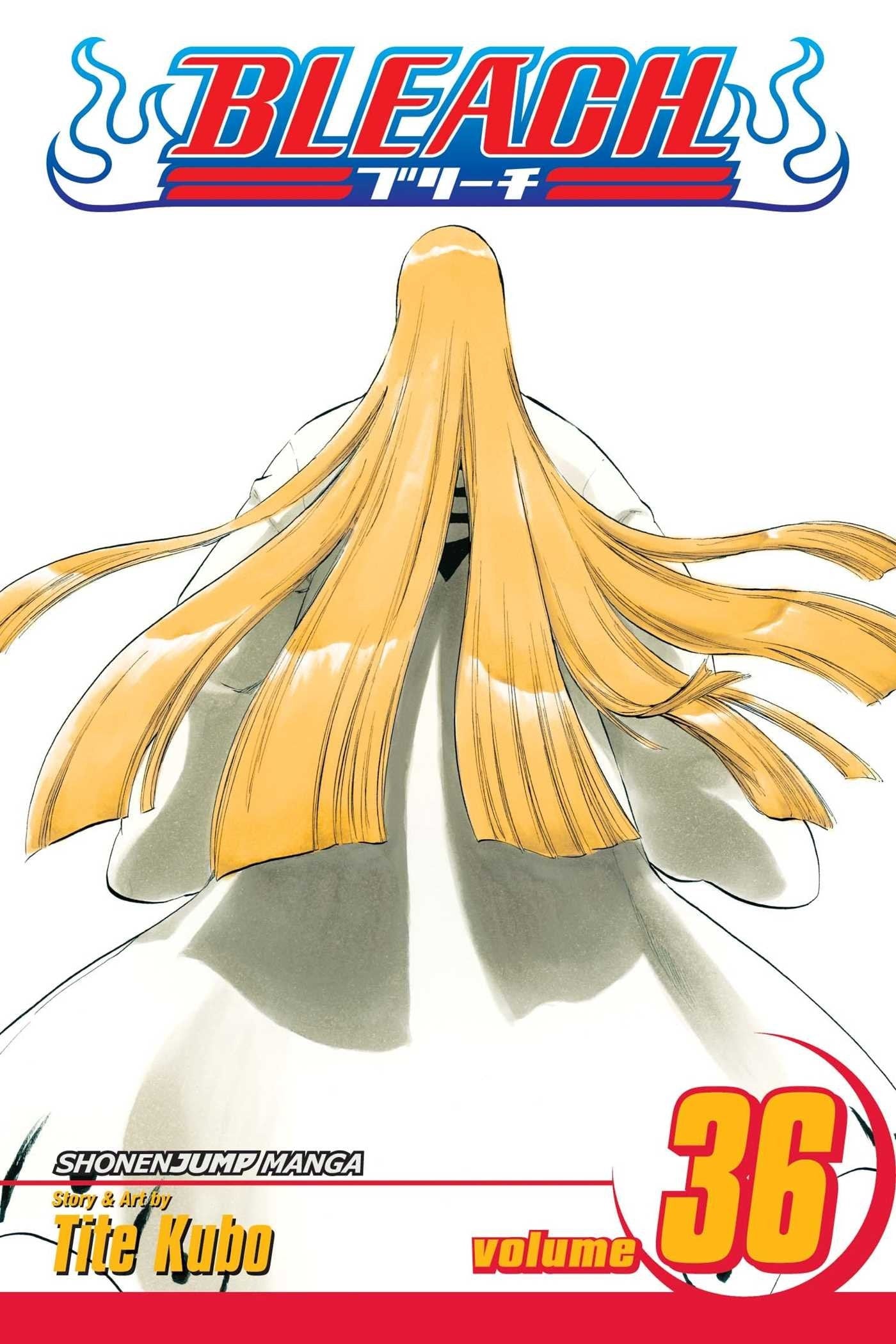 Bleach Vol. 36 cover