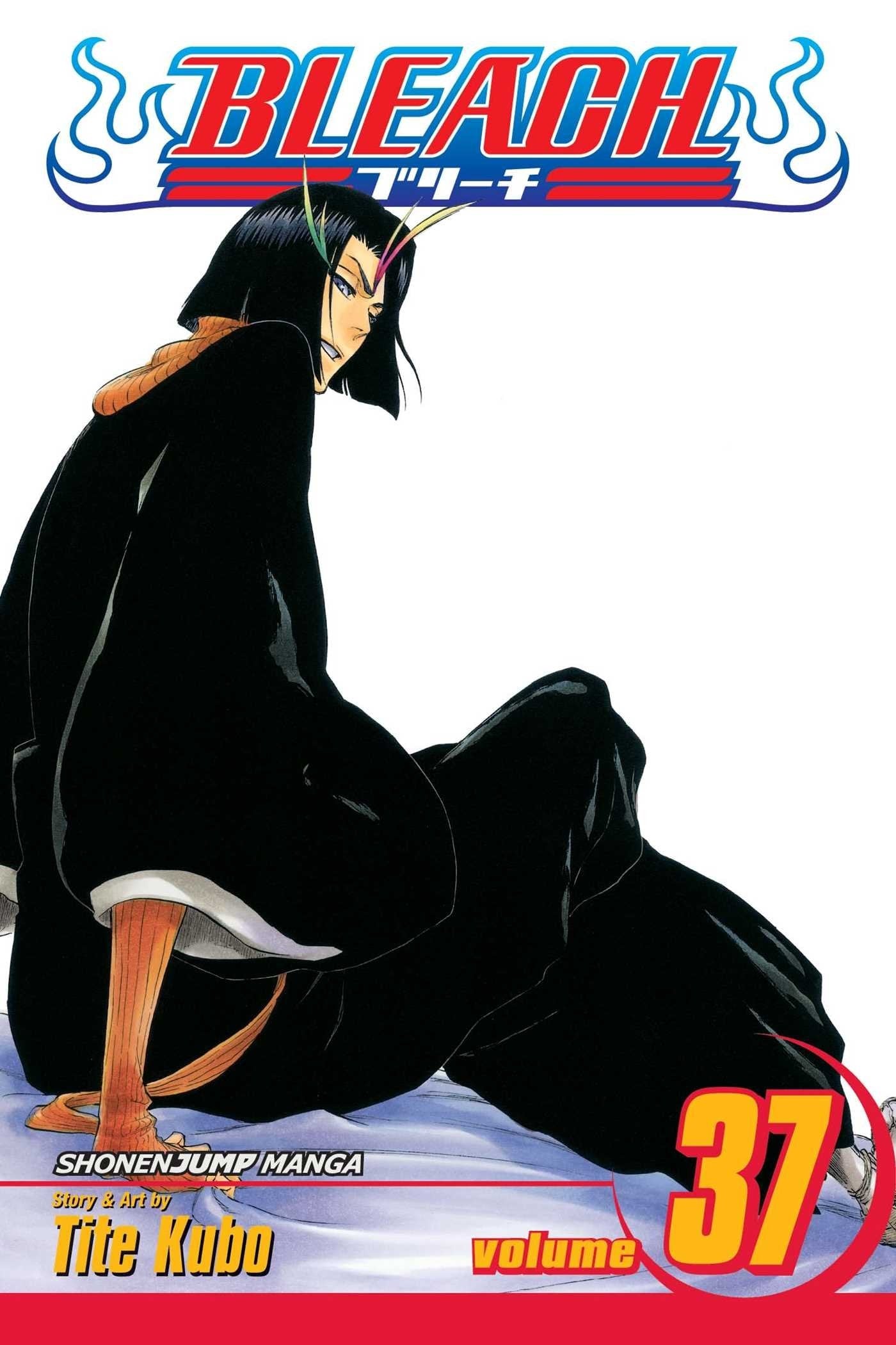 Bleach Vol. 37 cover