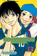 Kimi ni Todoke: From Me to You Vol. 13 cover