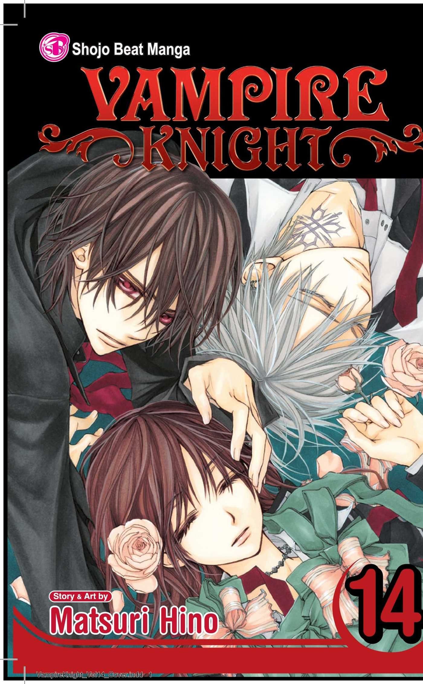 Vampire Knight Vol. 14 cover