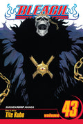 Bleach Vol. 43 cover