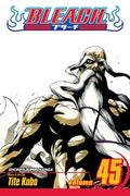 Bleach Vol. 45 cover