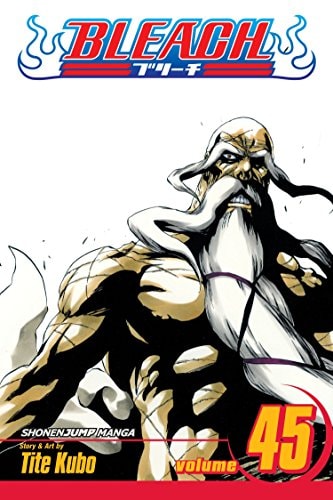 Bleach Vol. 45 cover