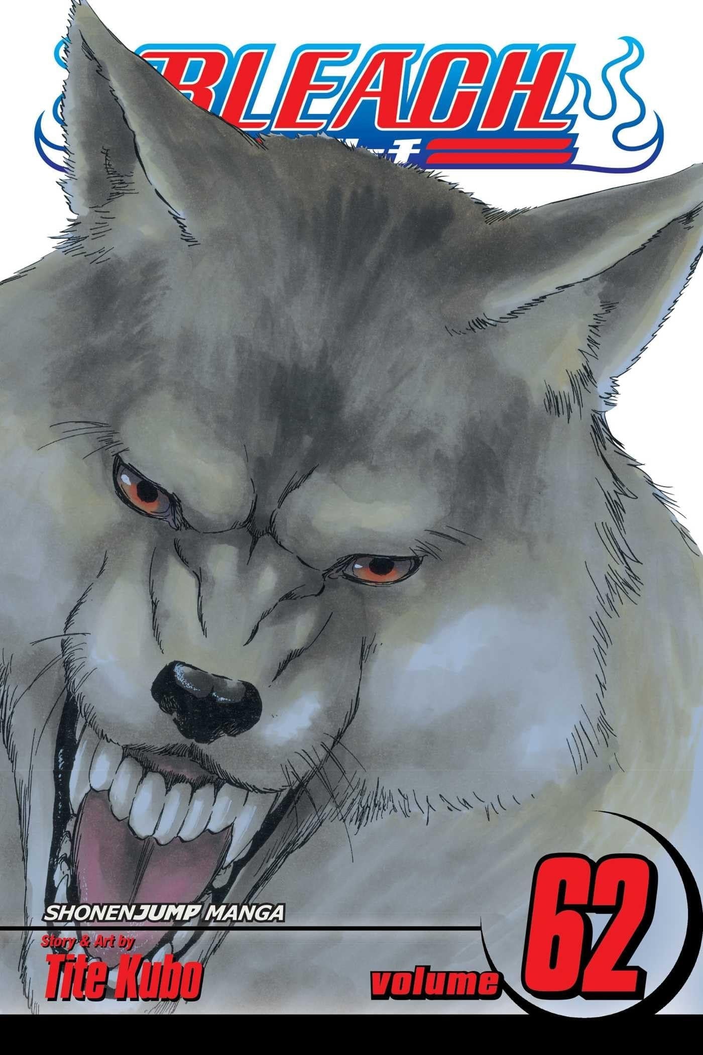 Bleach Vol. 62 cover