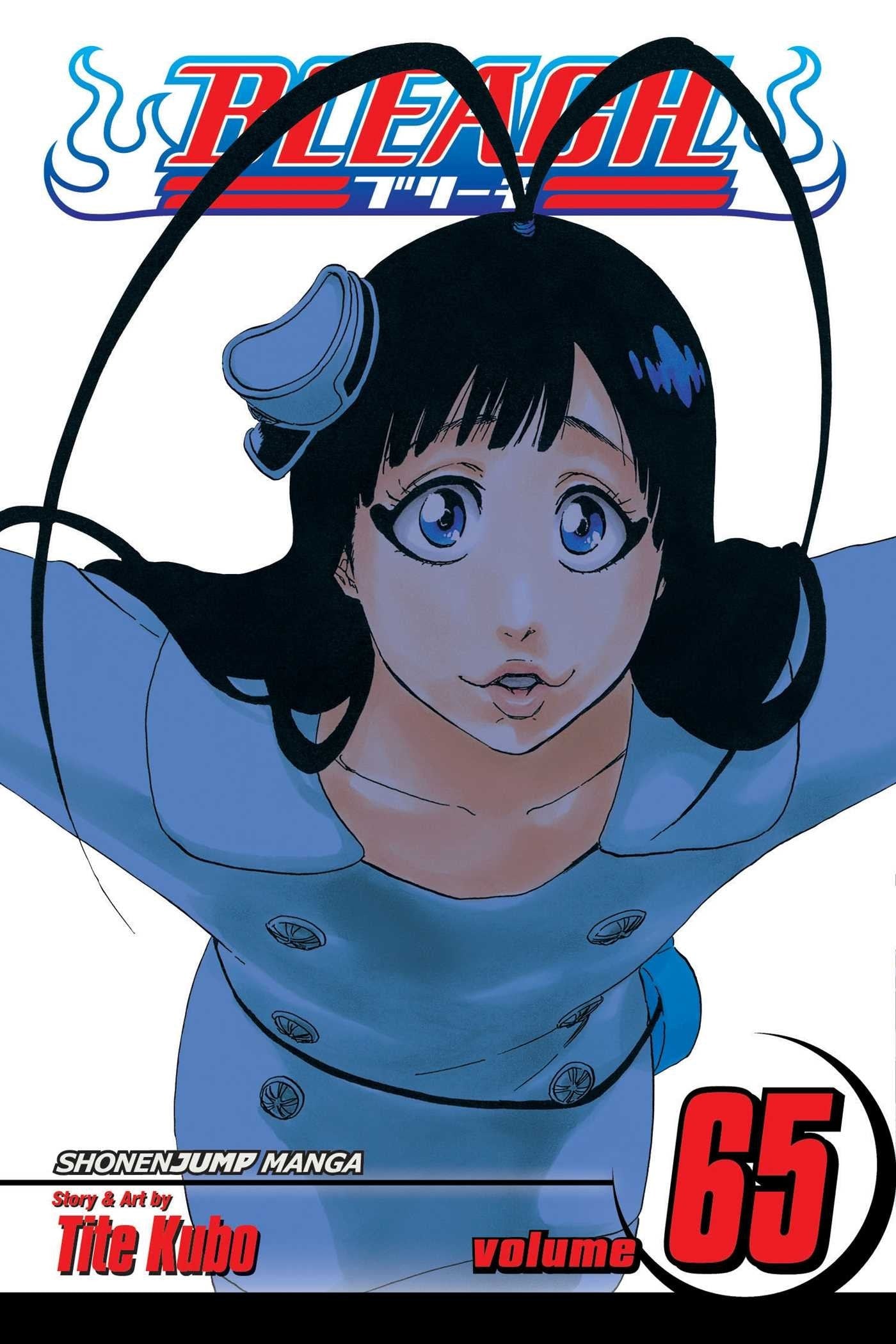 Bleach Vol. 65 cover