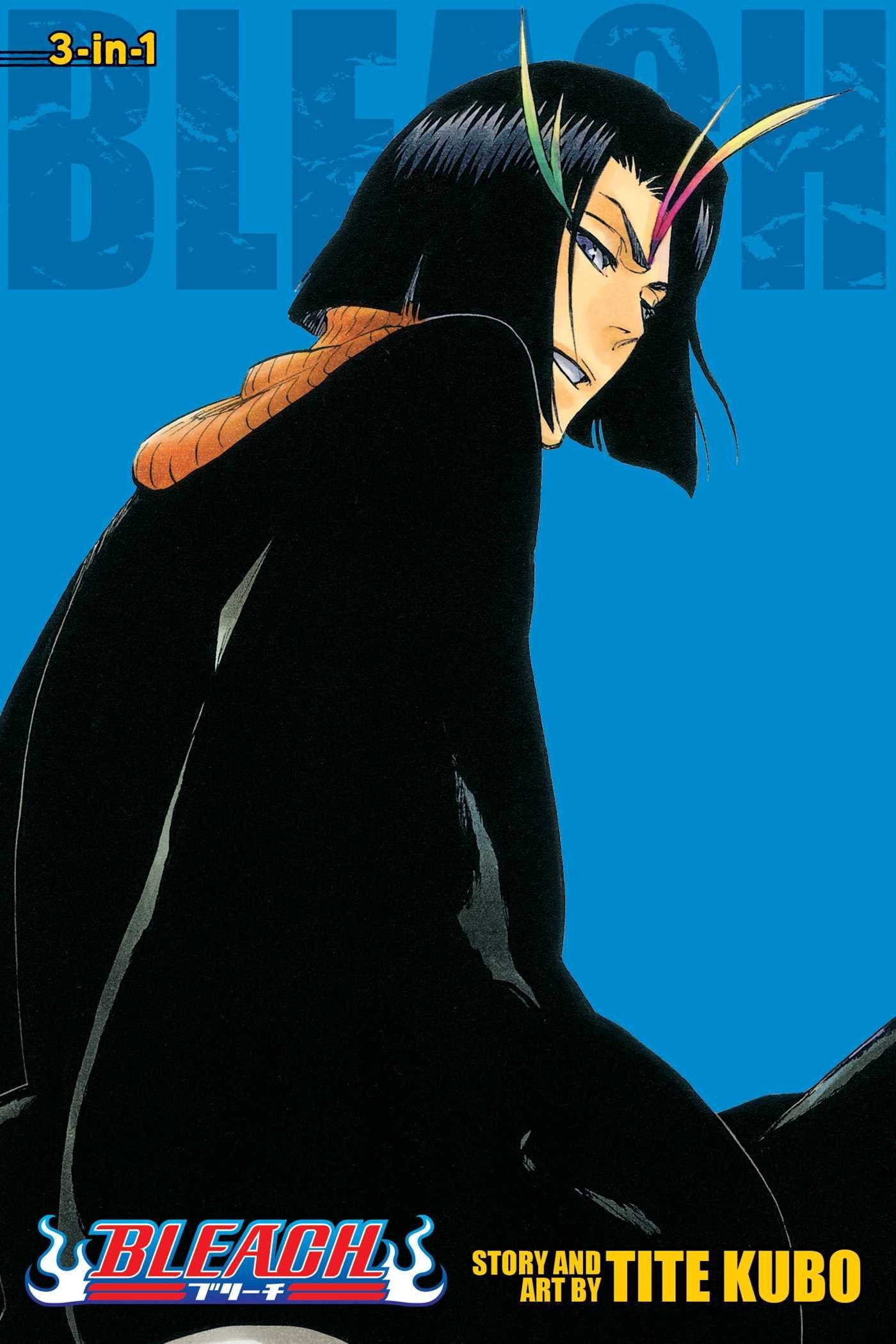 Bleach (3-in-1 Edition) Vol. 13 cover